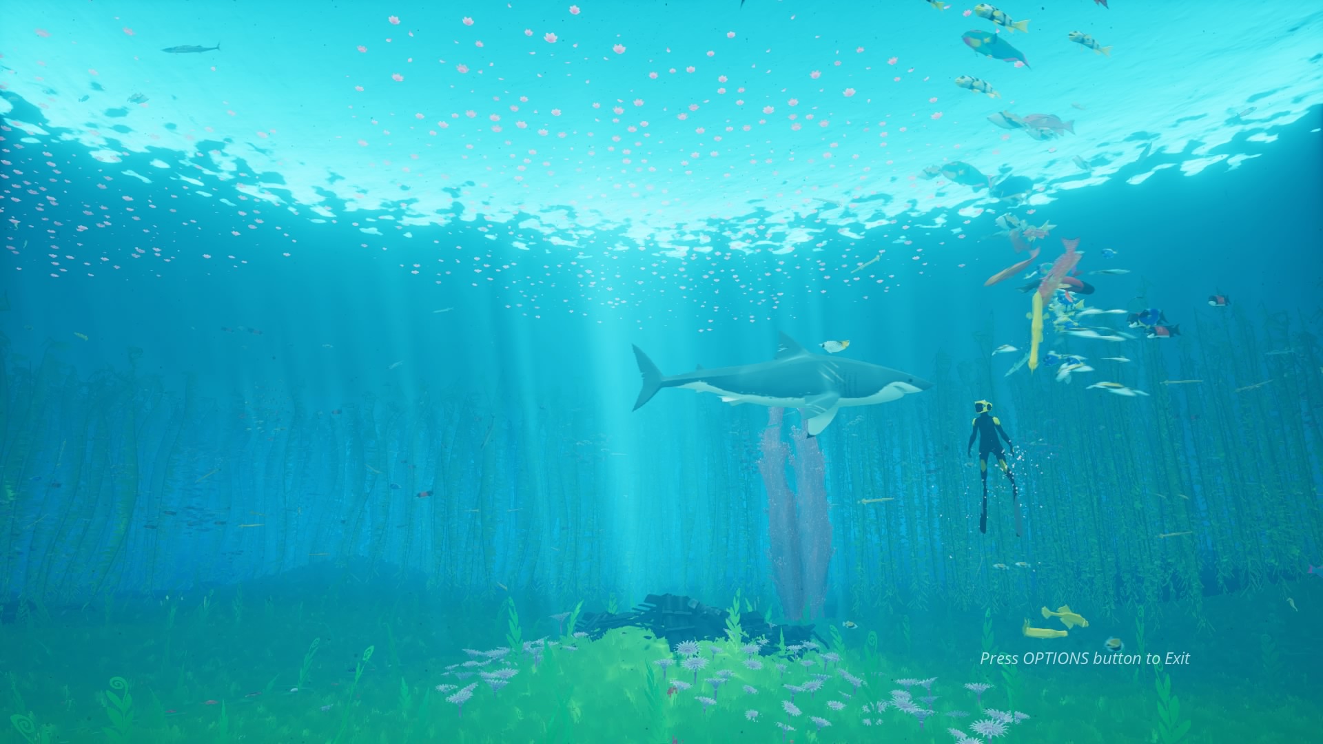 ABZÛ_20210104013132